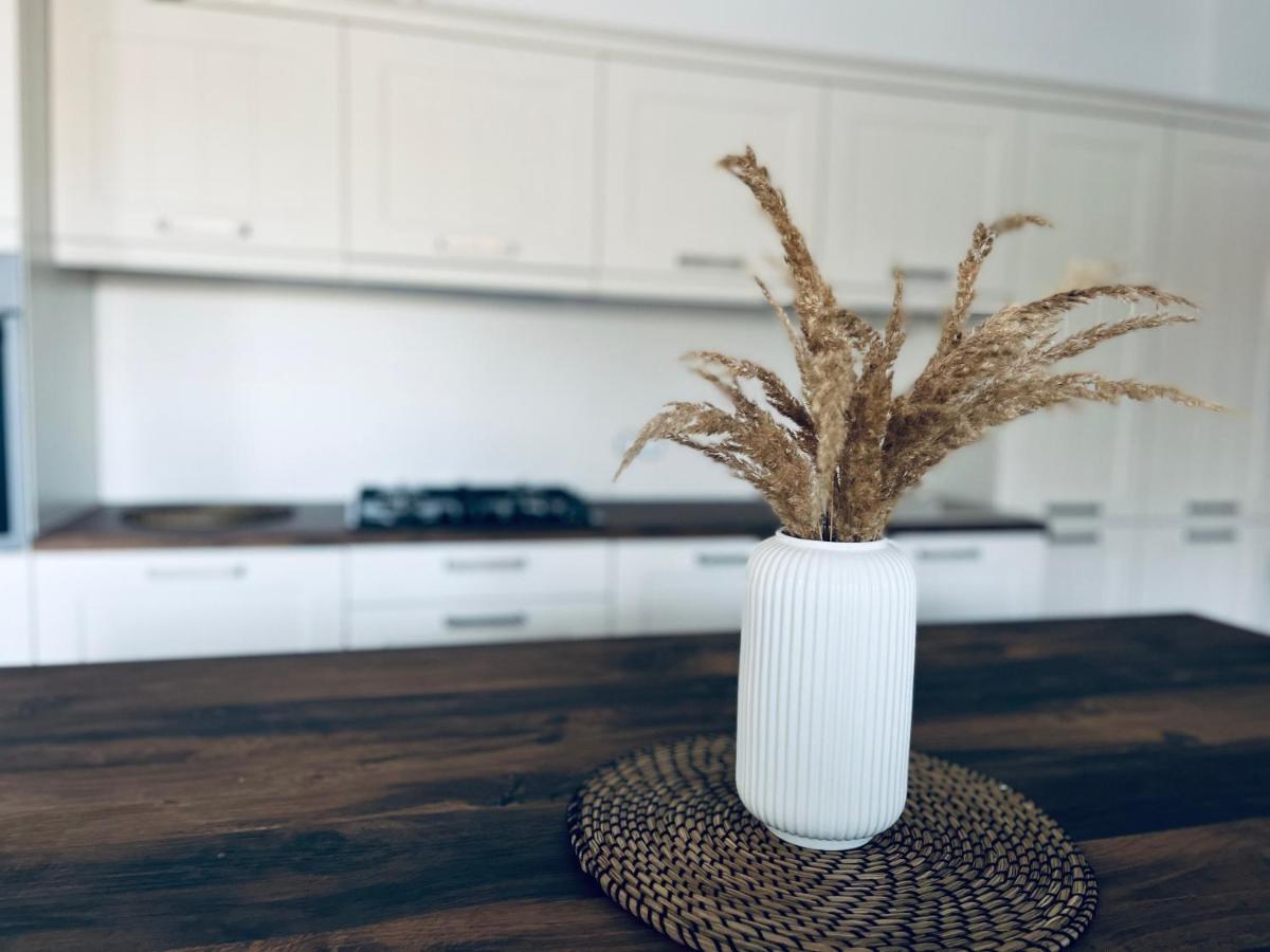 Apartment Country House Zaton Tisina 外观 照片