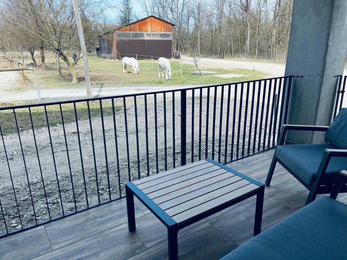 Apartment Country House Zaton Tisina 外观 照片